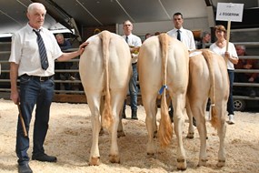 bedrijfsgroep J. Eggerink