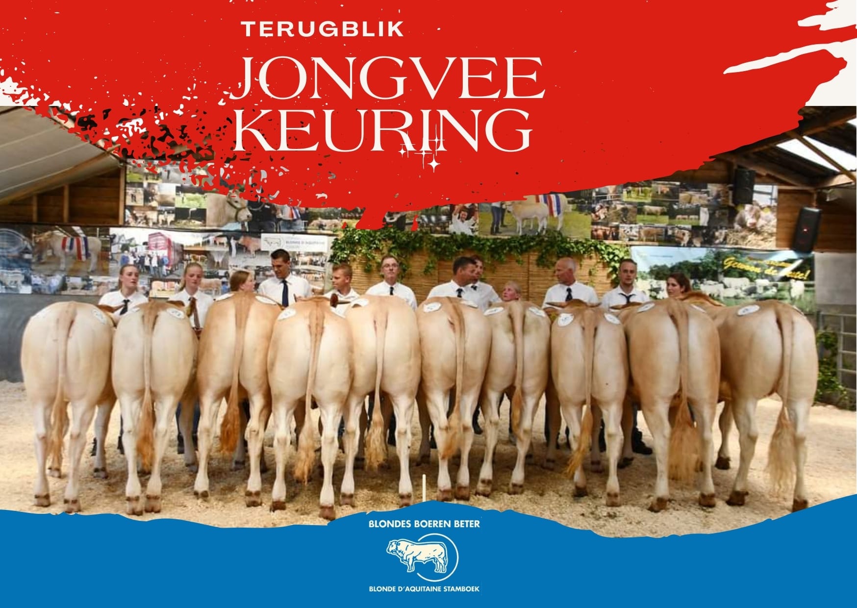 Terugblik jongveekeuring in Koekange met video