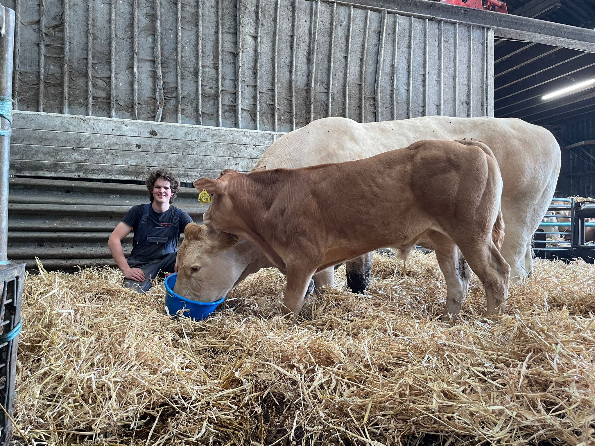 Jong en gek op Blond Willem in 't Anker