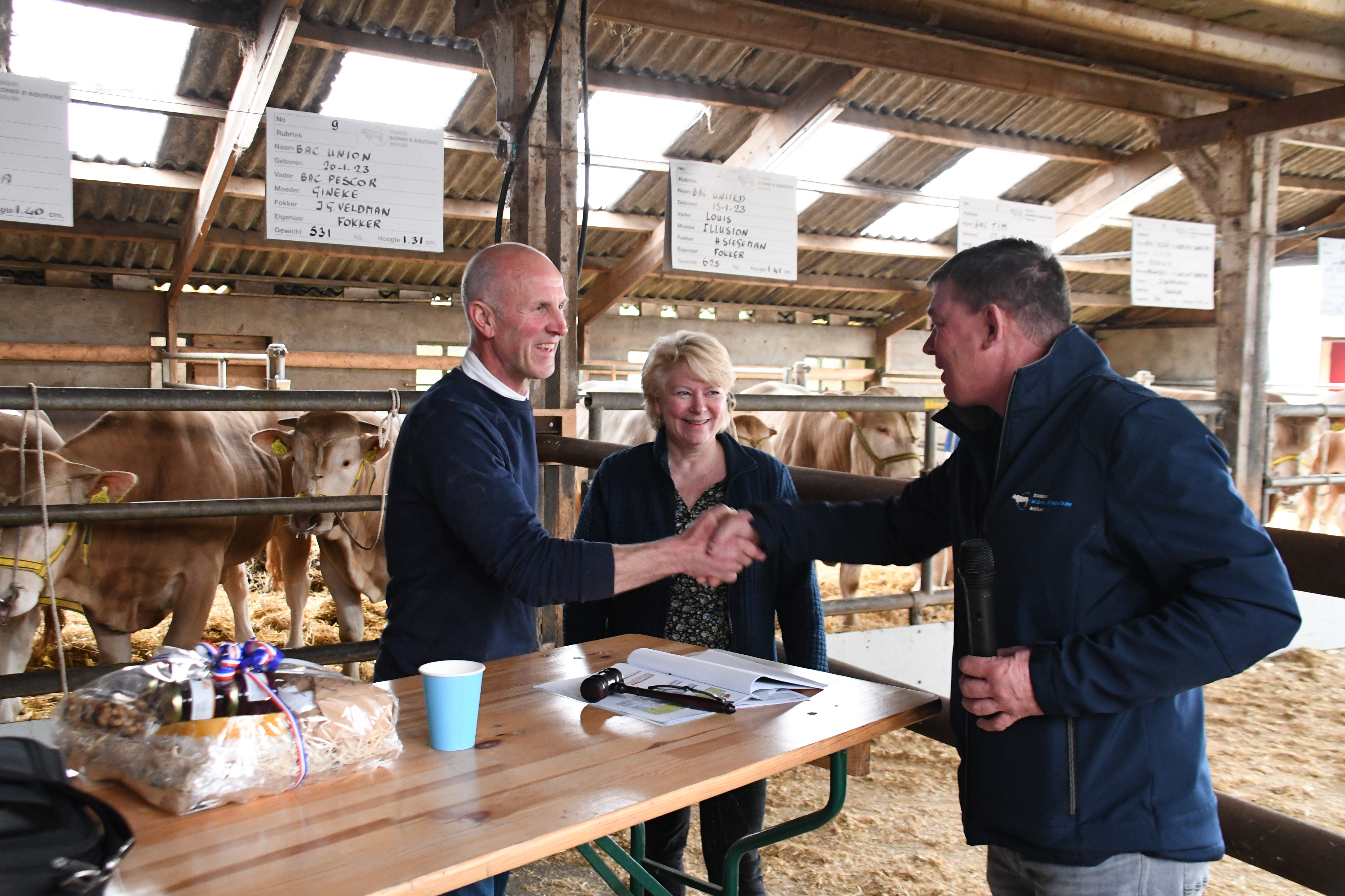 Stambomen BAC-veilingstieren online