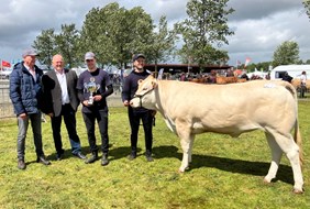 Tafia Miss Future Herning