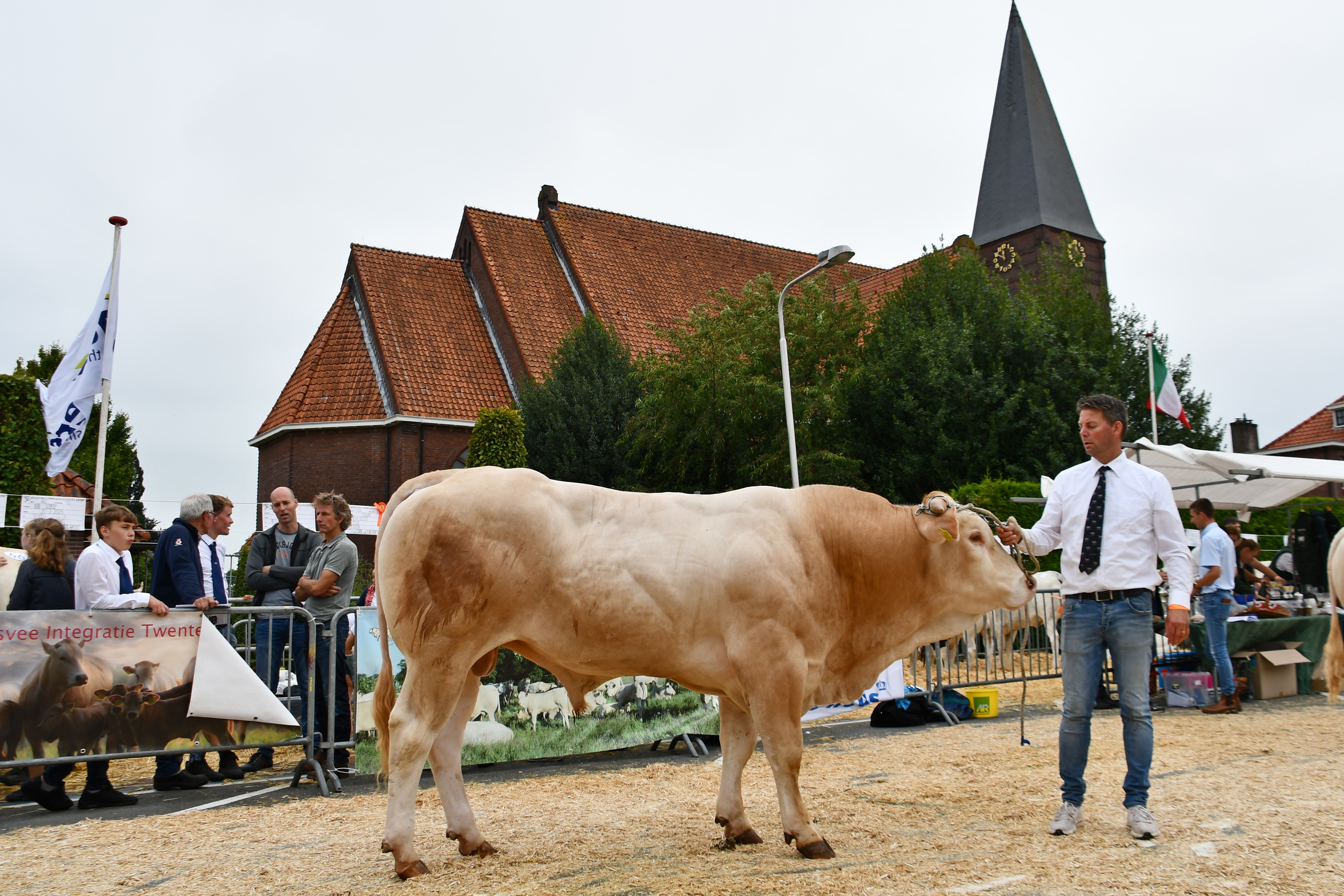 Rubrieken van de keuring in Enter