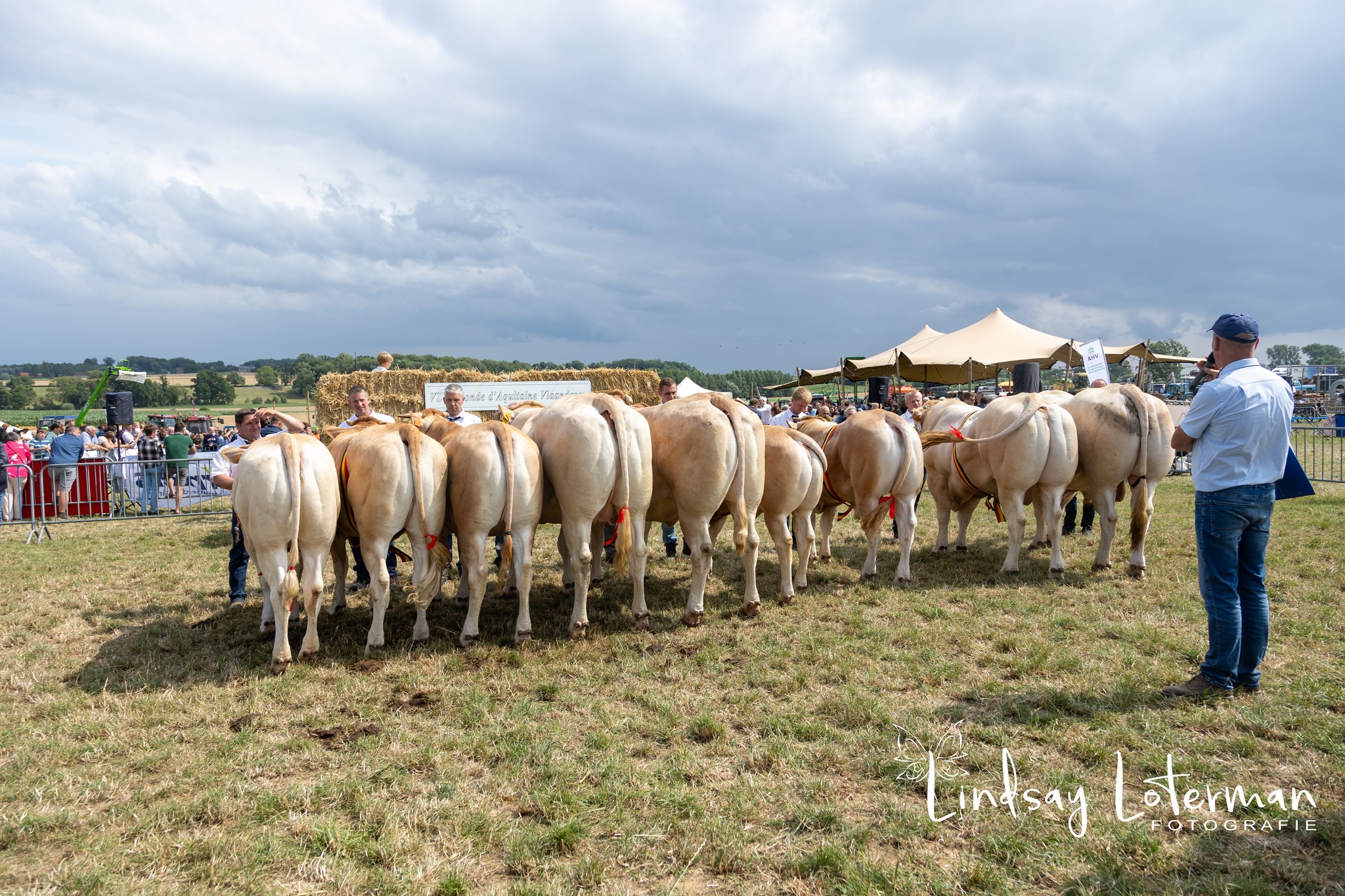 Zondag 21 juli Blondekeuring in Bogaarden
