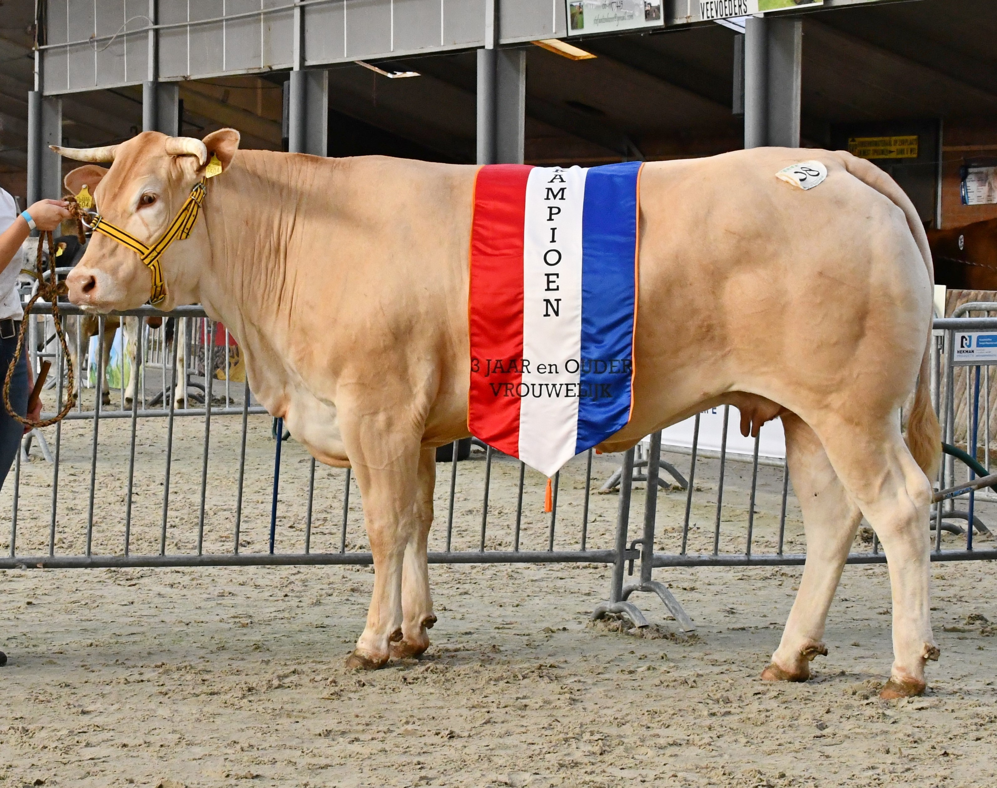 Top genetica in de BAC-veiling