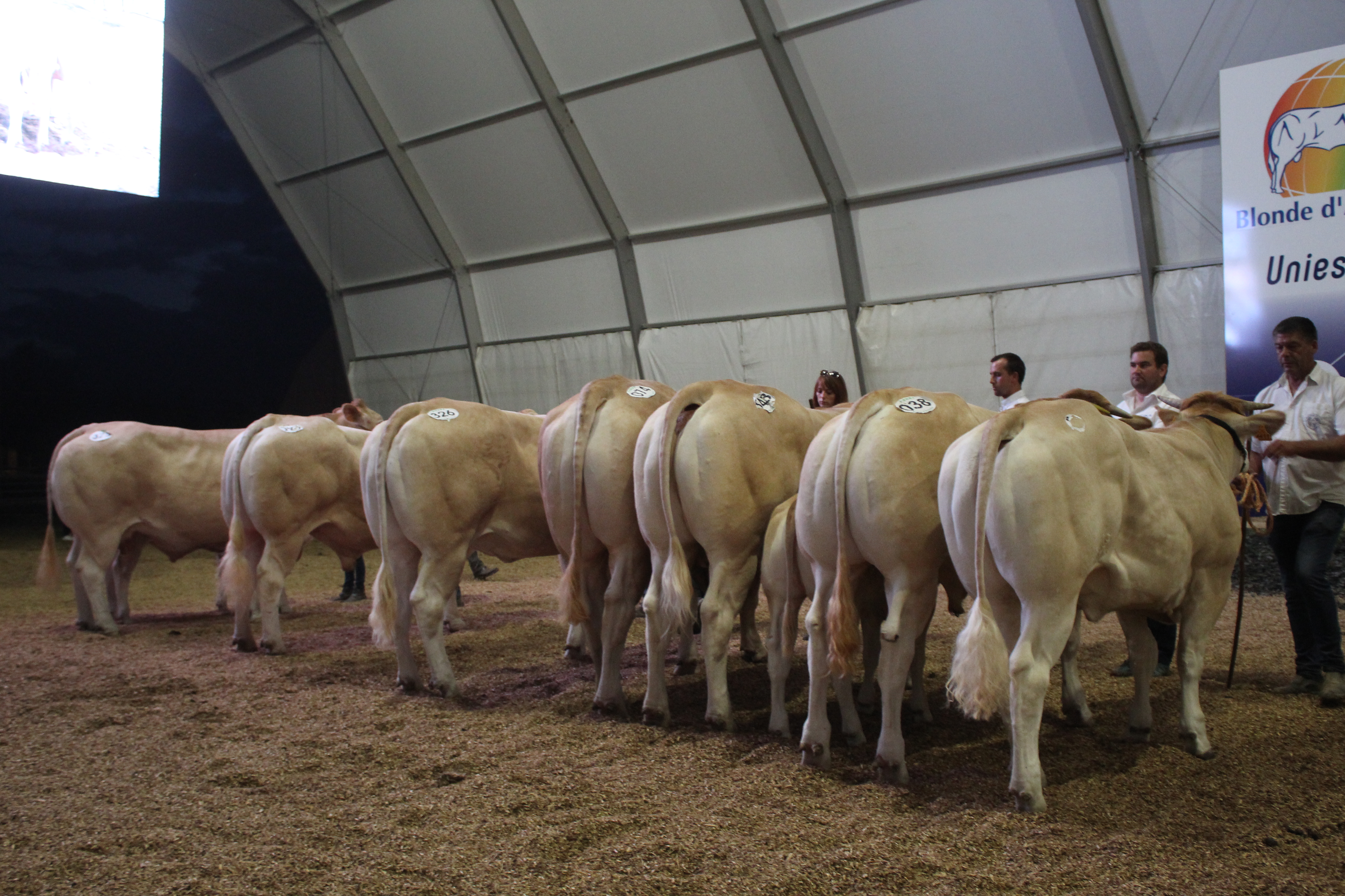 Nationale keuring Frankrijk 2025 in Lezay