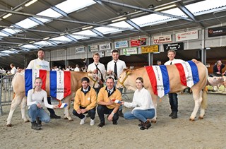Kampioenen NVM 2022