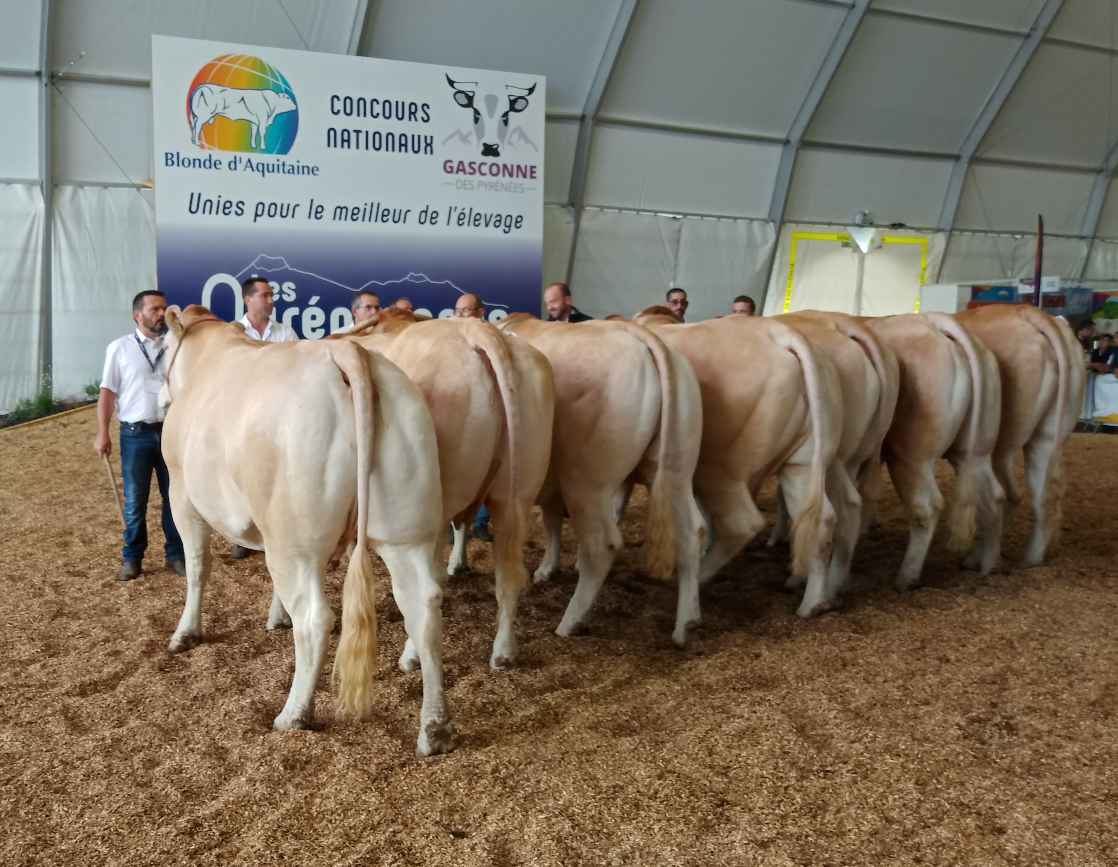 Rubrieken Nationale Frankrijk in St Gaudens