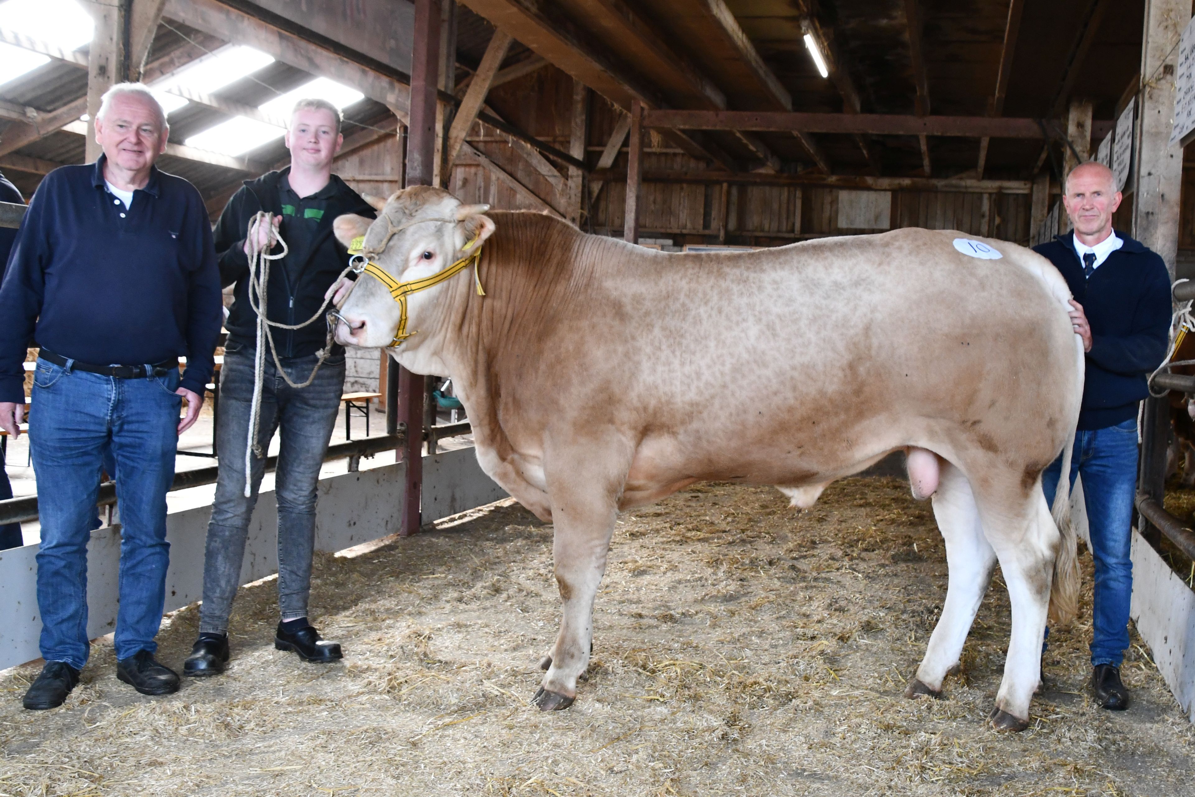 BAC Westerstreek Urban veilingtopper op de BAC najaarsveiling in Laren
