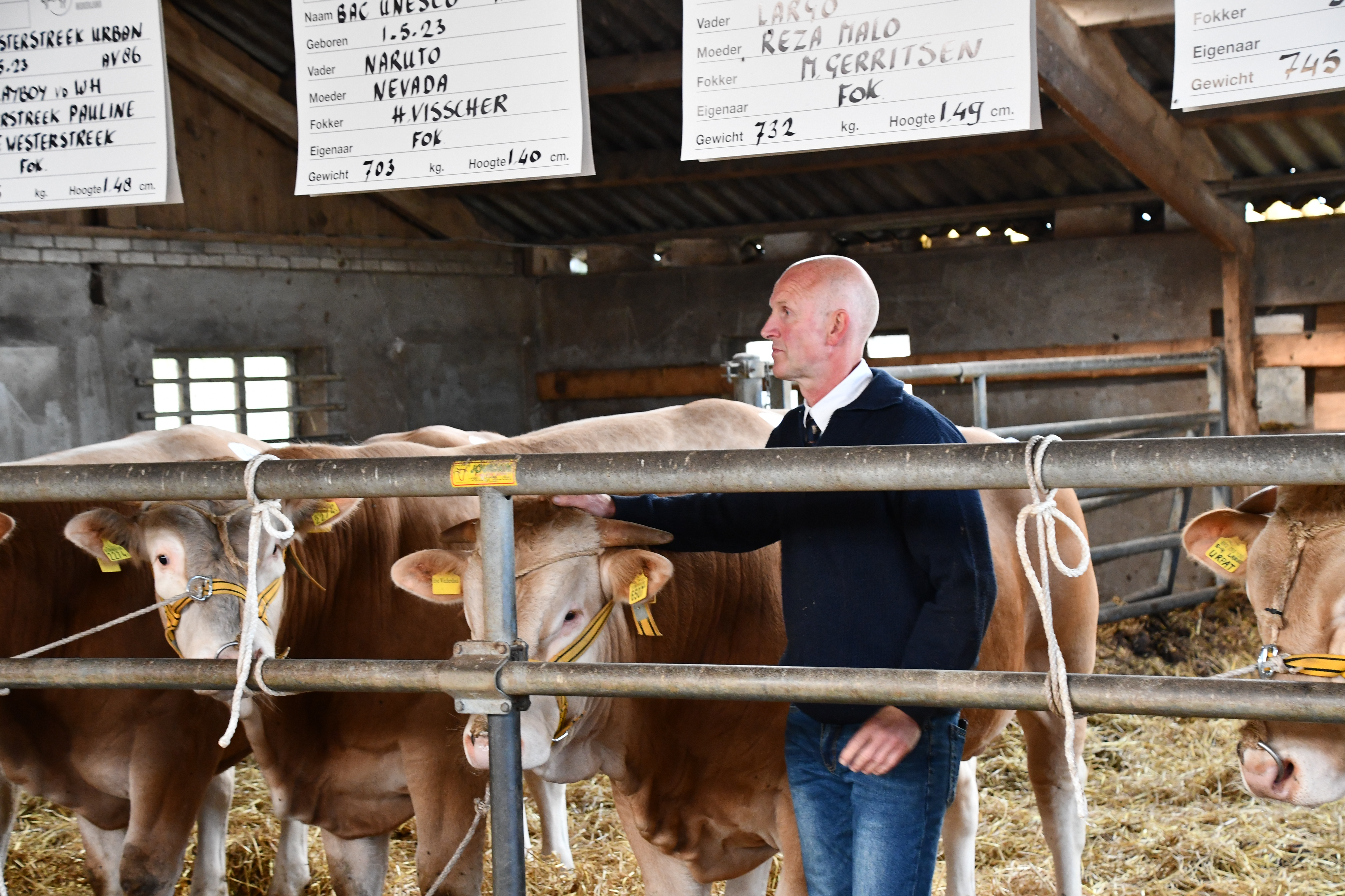 BAC veiling gewaardeerd podium