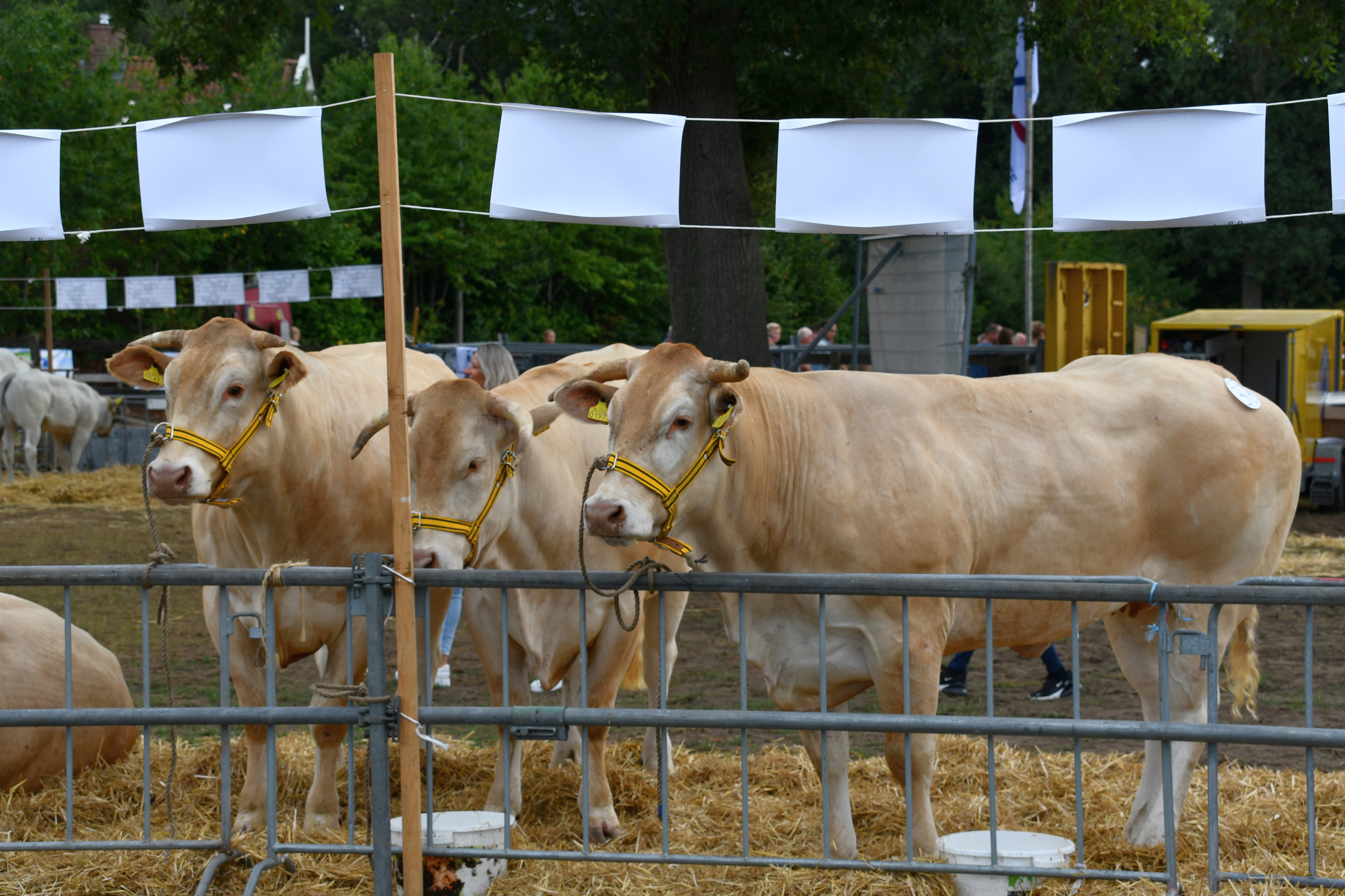 Keuring Enter 2025 naar nieuwe locatie