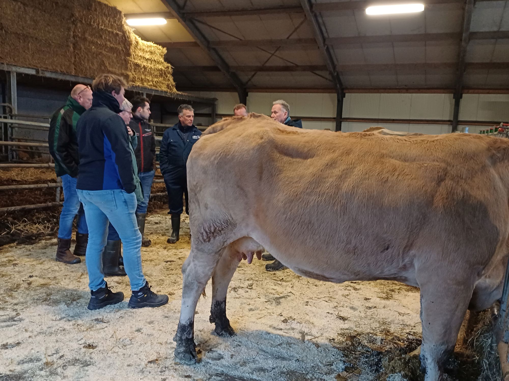 Uniformering inspecteurs en Fokadviescommissie