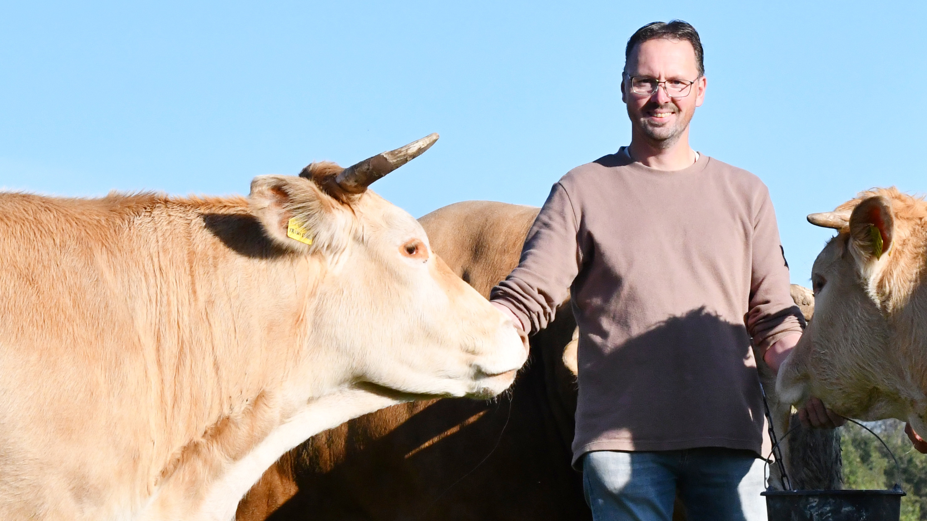 Willy Pierik nieuwe voorzitter voor Stichting Commissie Vleesvee Enter