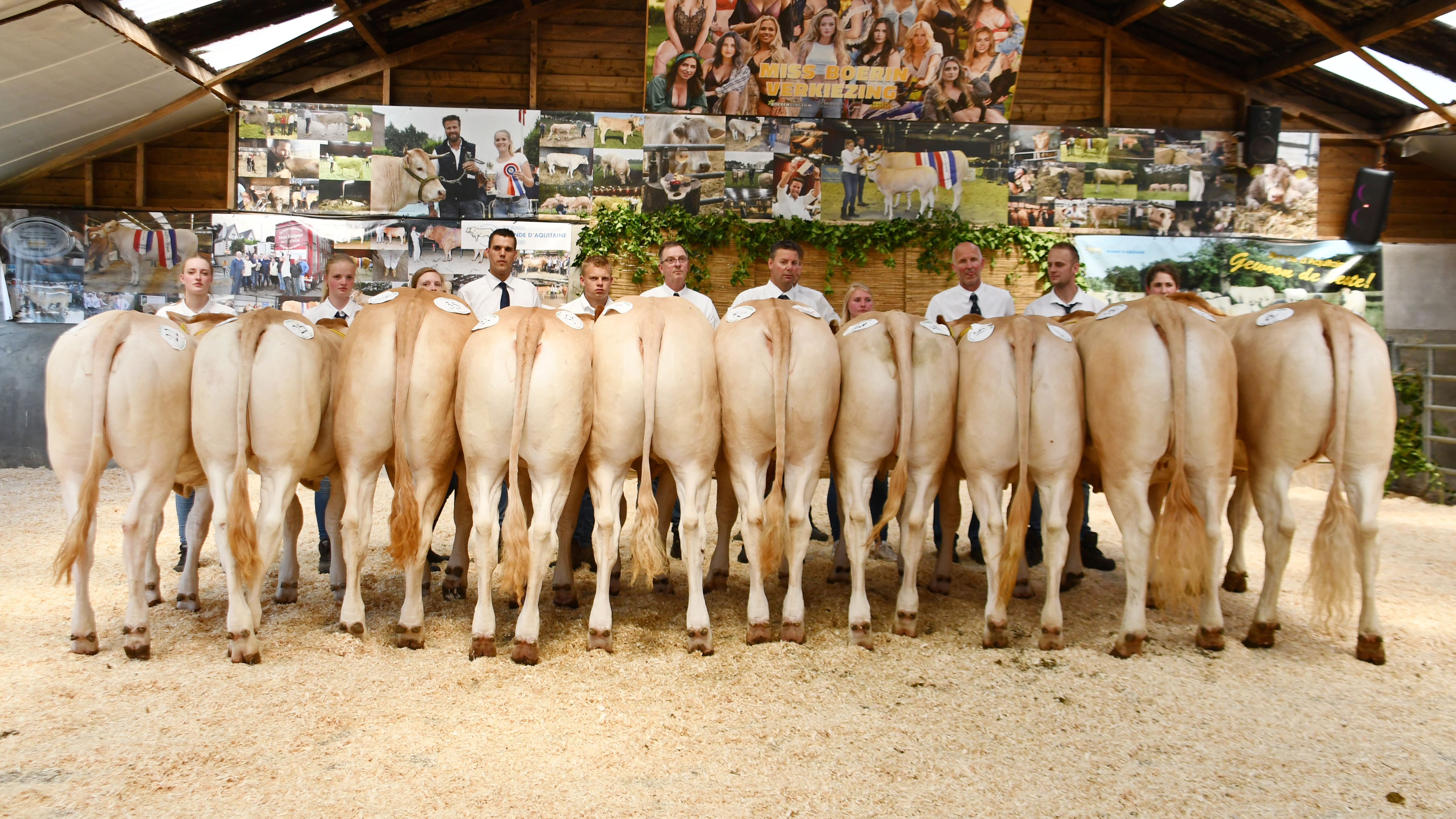 Jongveekeuring Koekange 17 mei