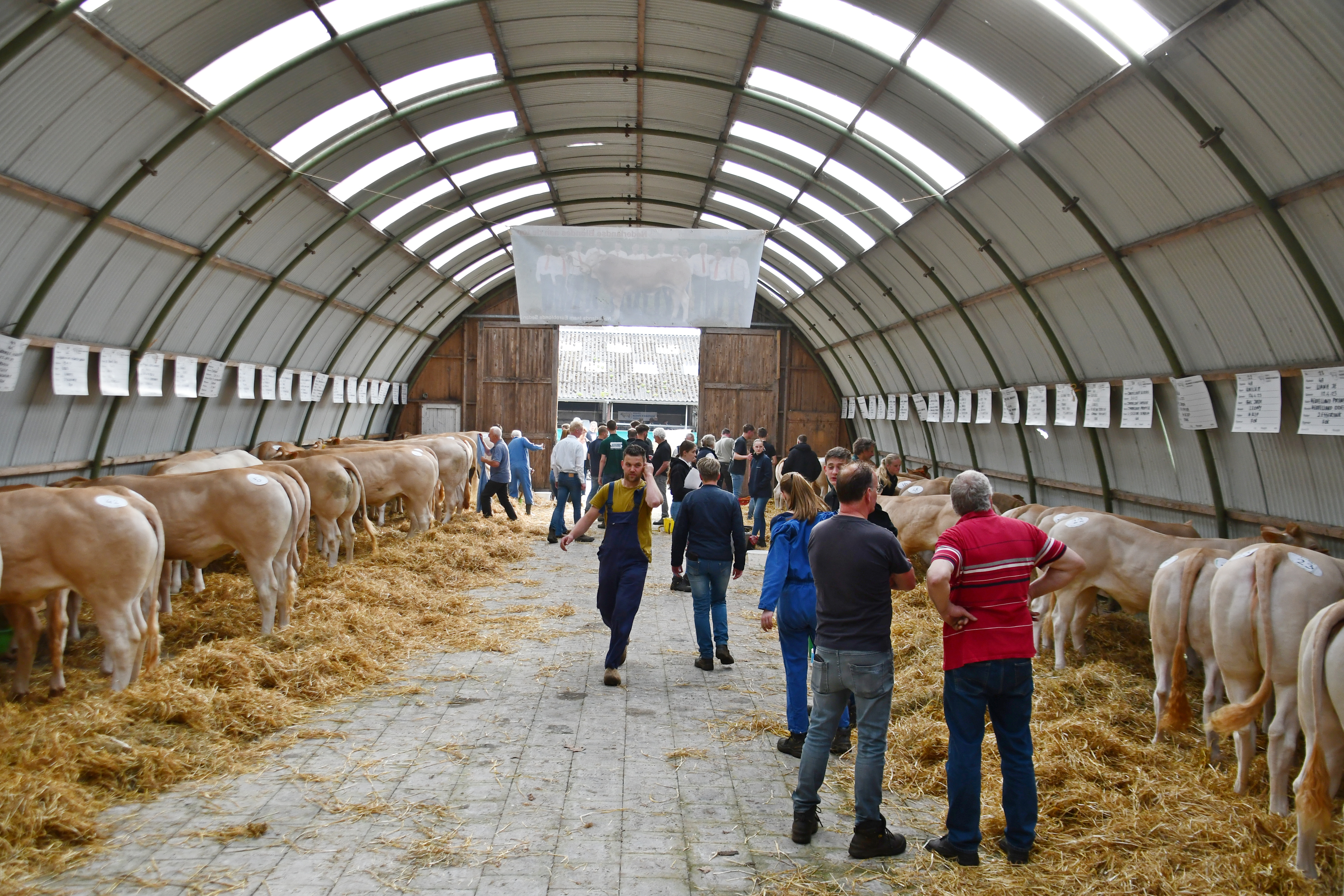 Inschrijving voor jongveekeuring Koekange geopend