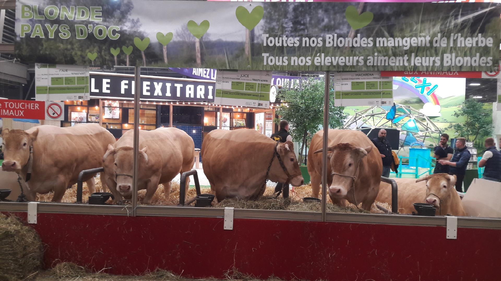 Keuring in Parijs LIVE