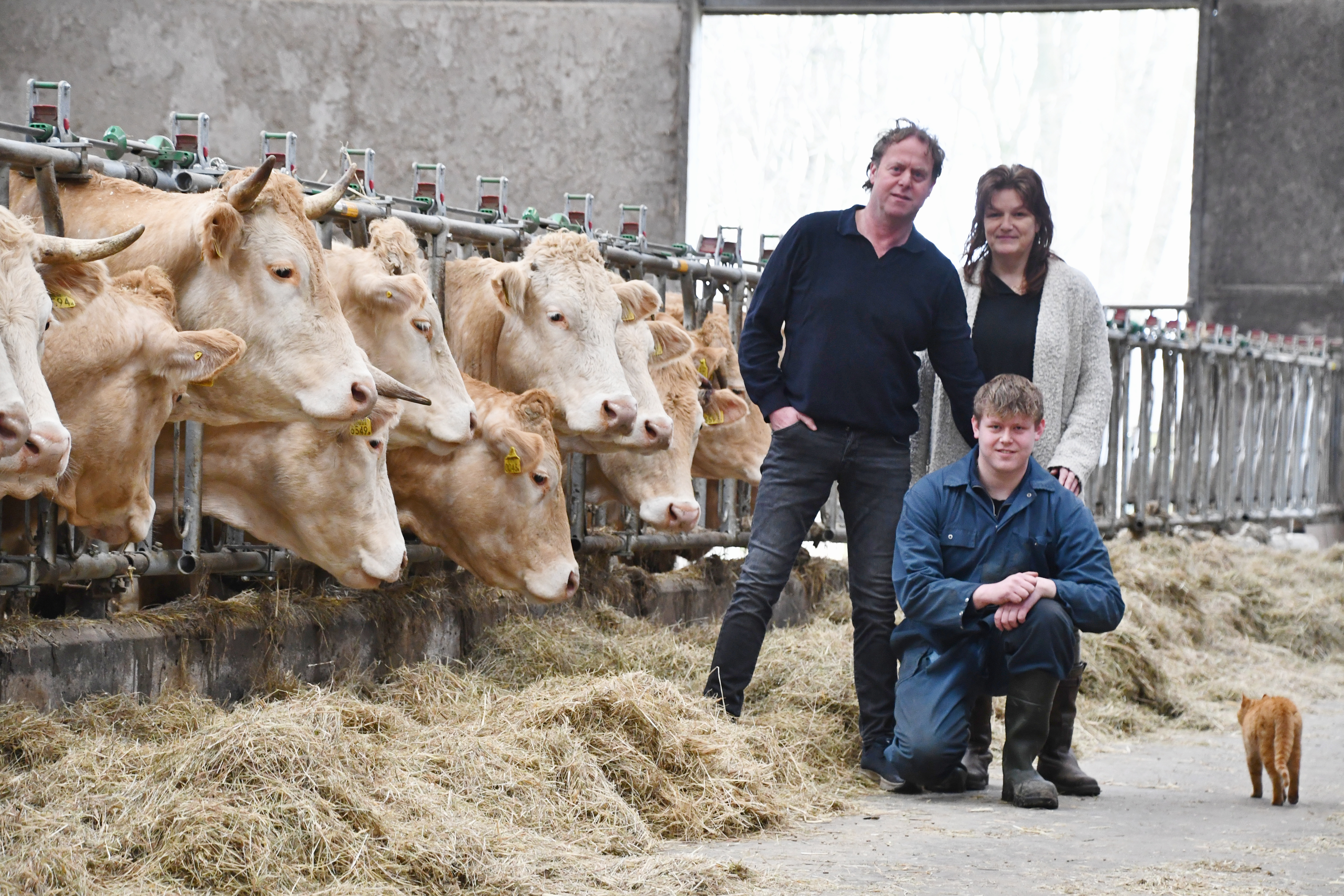 Bedrijfsverslag Alfred Meiberg