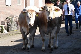 op het BAC station