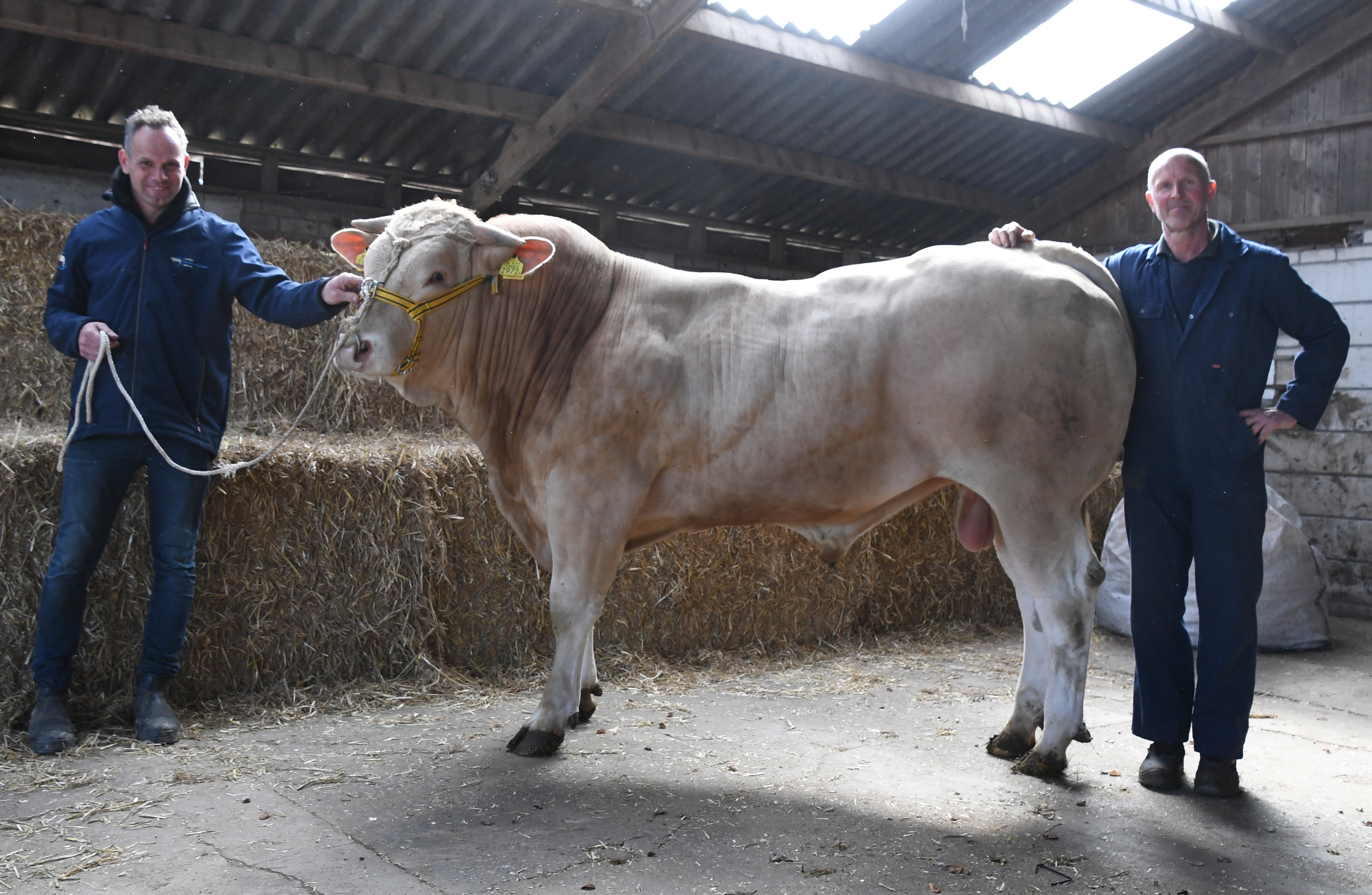 BAC Usainbolt en BAC Union naar hun nieuwe stal