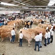 keuring