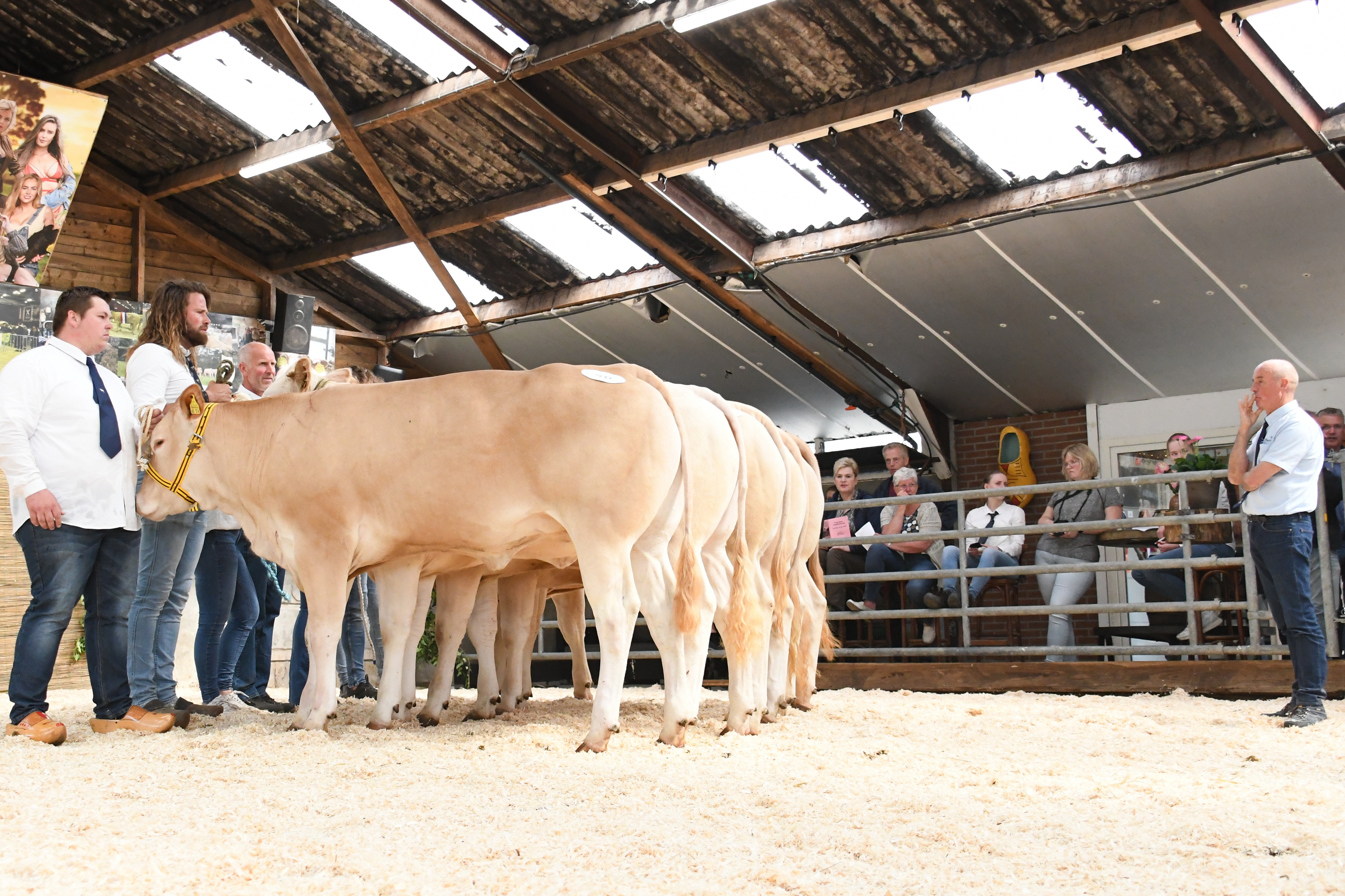 Rubrieken jongveekeuring Koekange 
