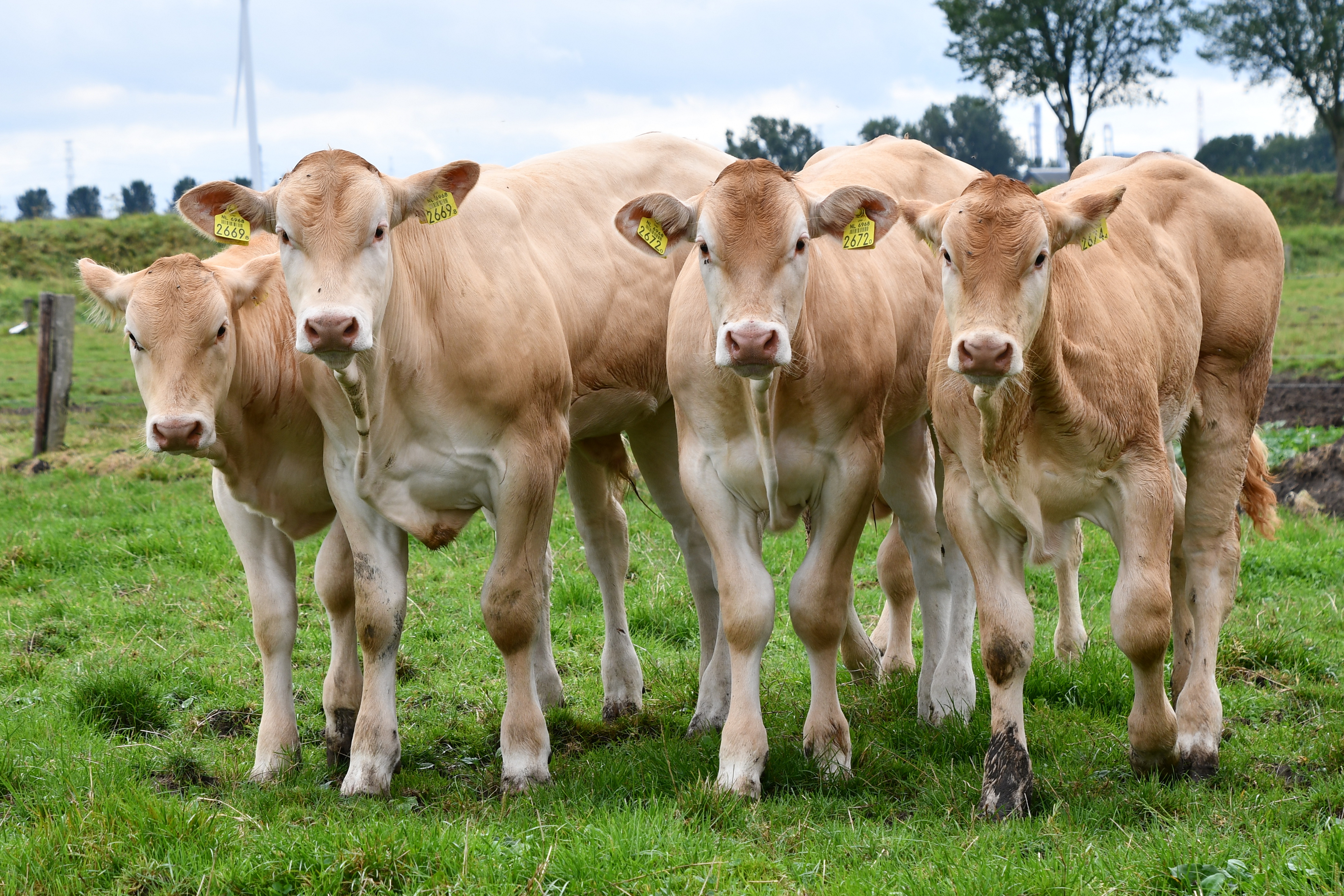 Nieuwe IBOVAL indexen Frankrijk