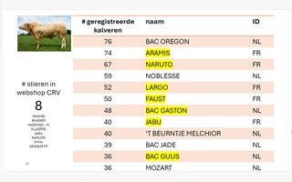 CRV geboren kalveren 2024