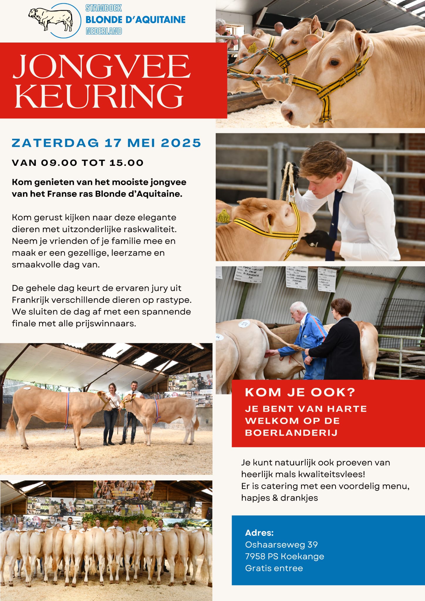 Complete catalogus jongveekeuring Koekange online