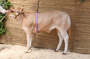 Dag Kampioen Vega Malo