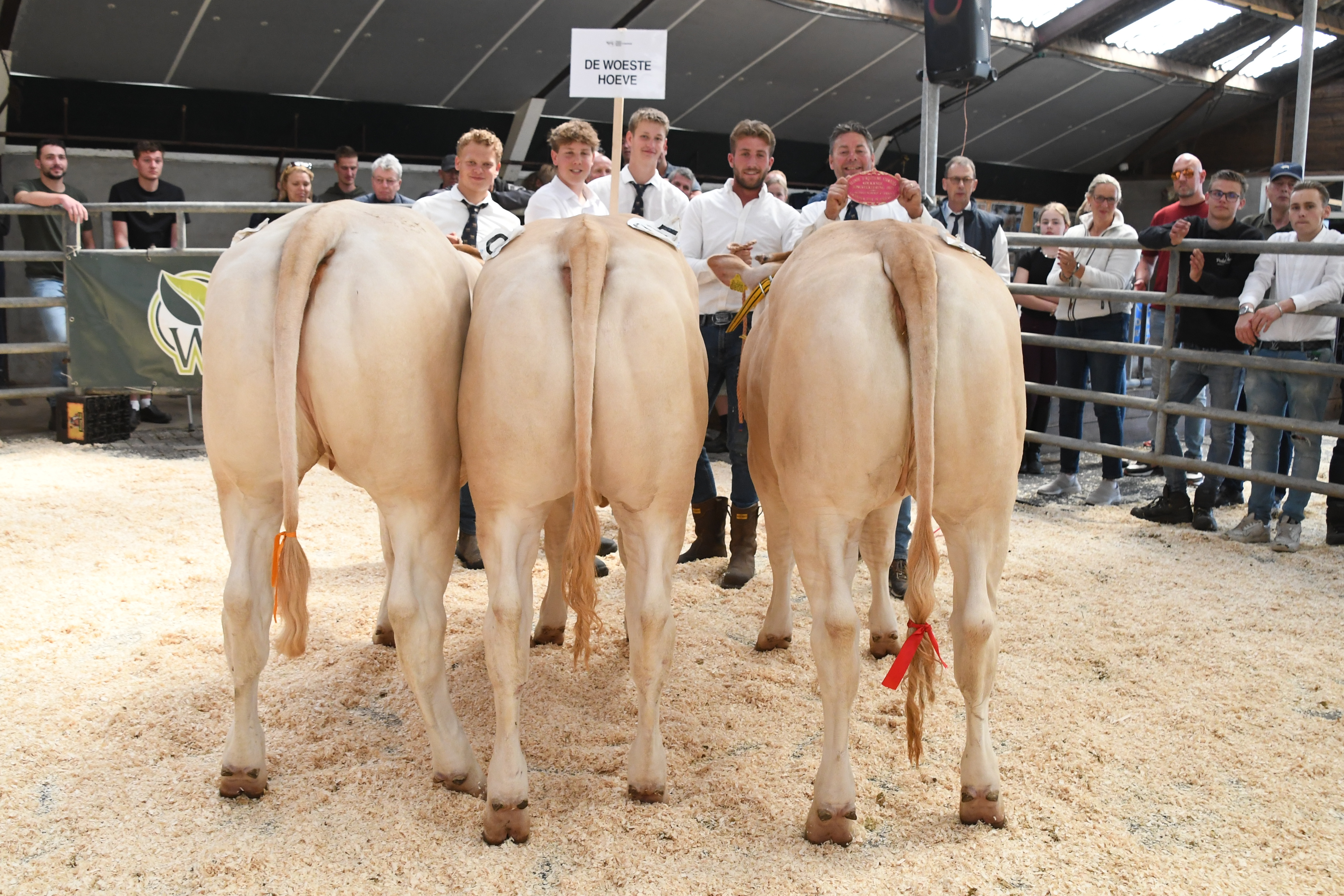 De Woeste Hoeve pakt titel bij de bedrijfsgroepen