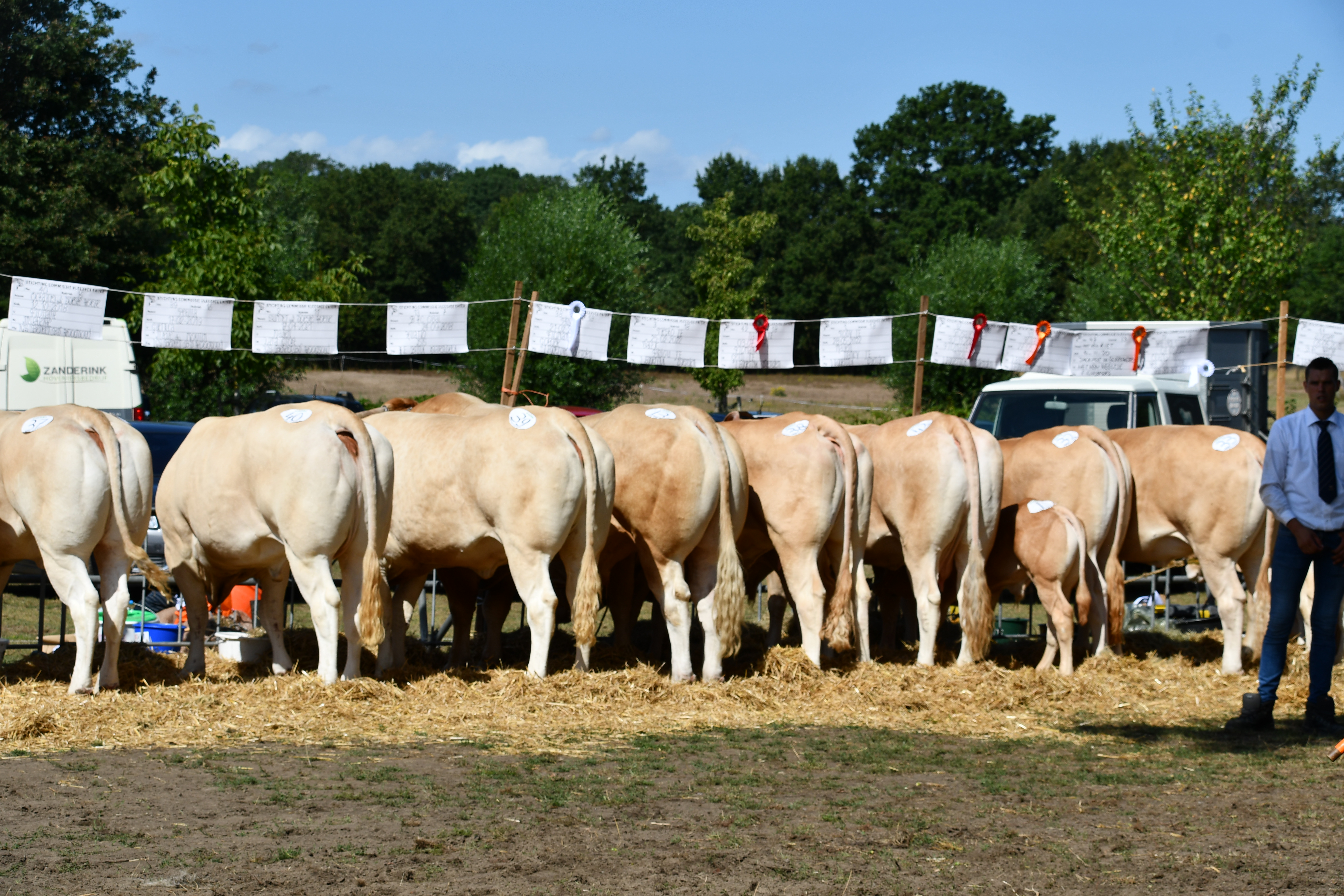 Opgave voor de keuring in Enter op 16 augustus