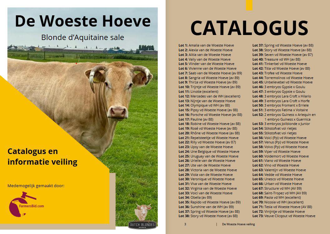 Zaterdag 21 juni veiling op de Woeste Hoeve van topdieren