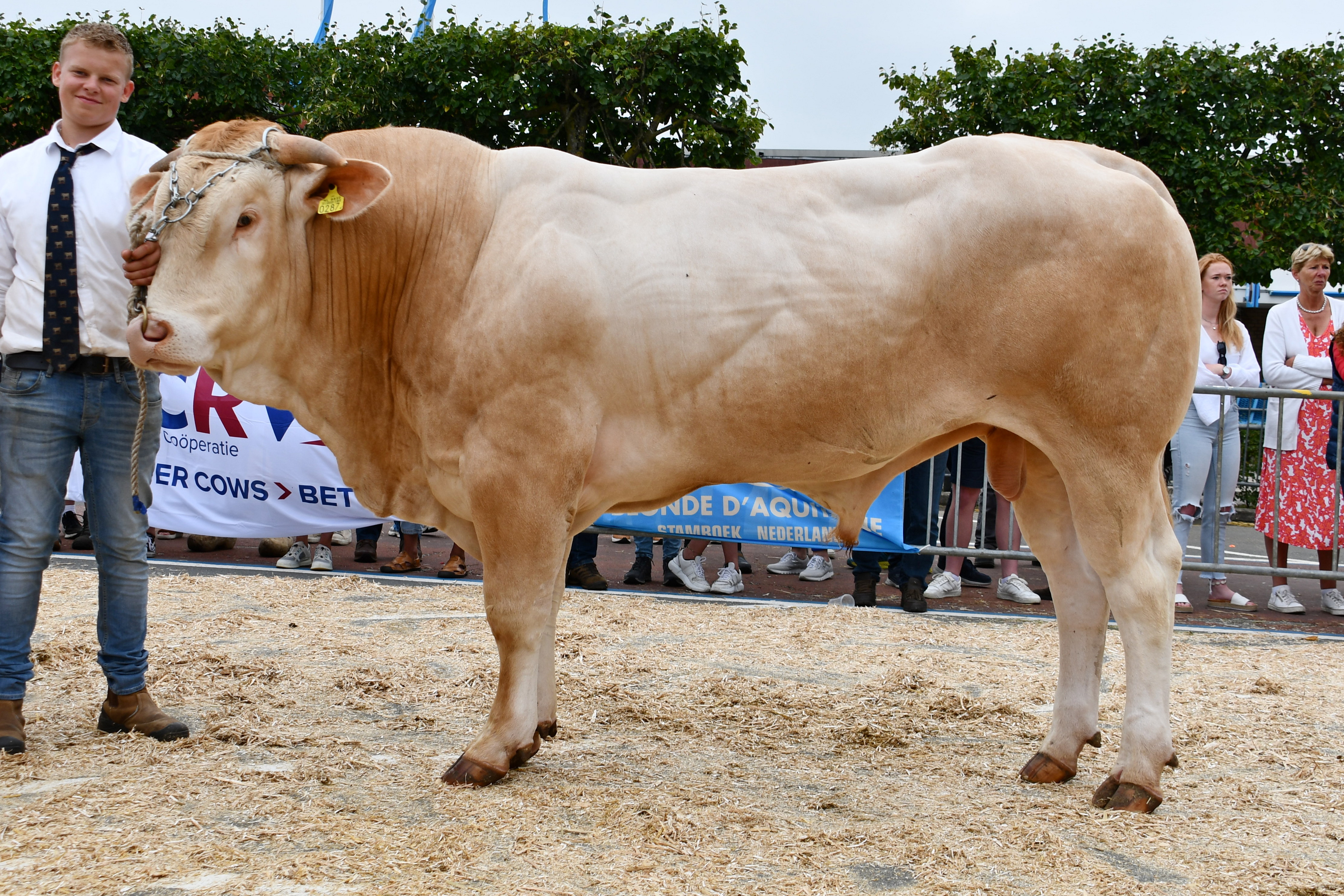 Structure scoort hoogste bod op de veiling