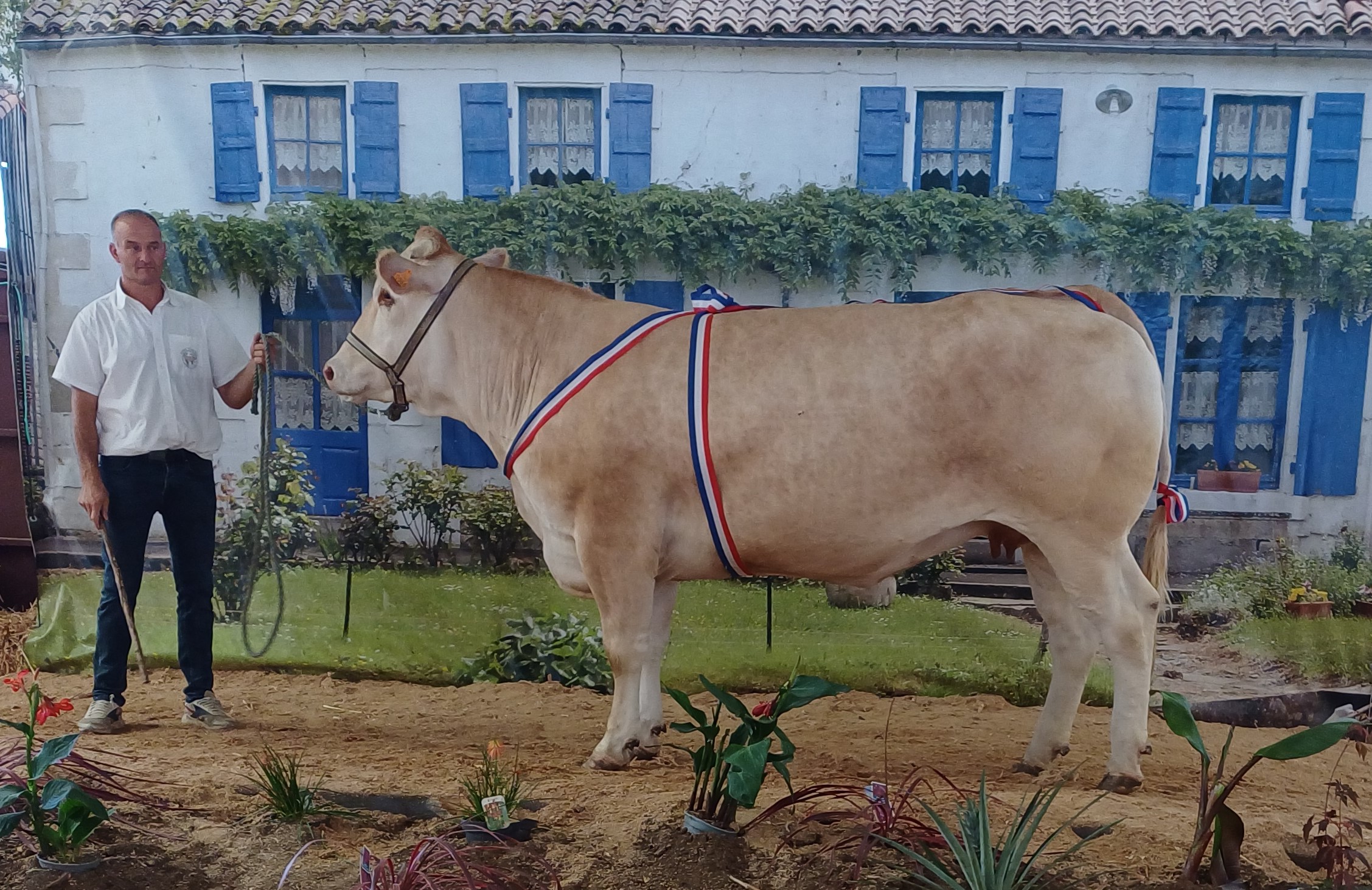 Sirene Algeheel Kampioen in Lezay