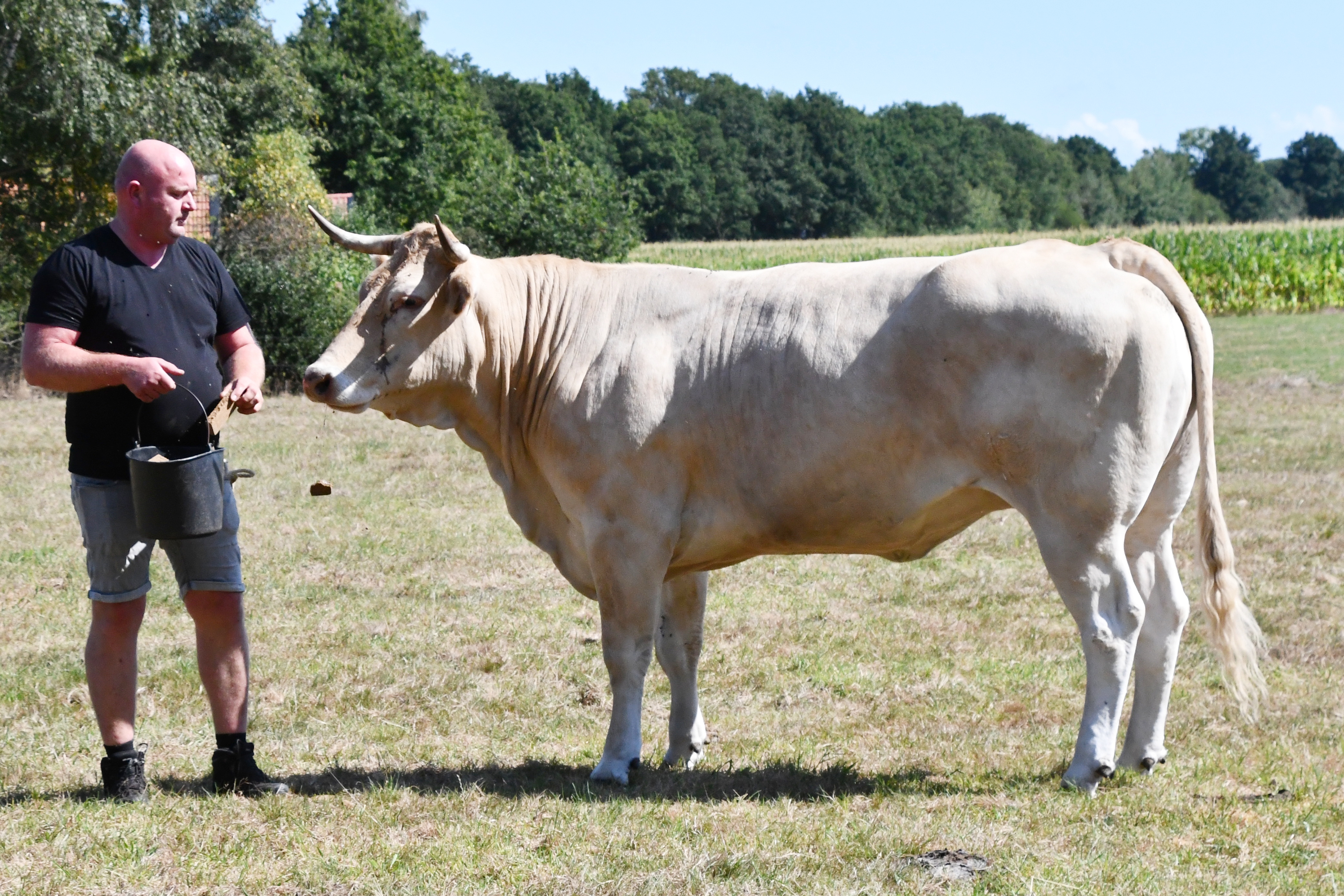 De fokkerijvisie van Henri van Heerde