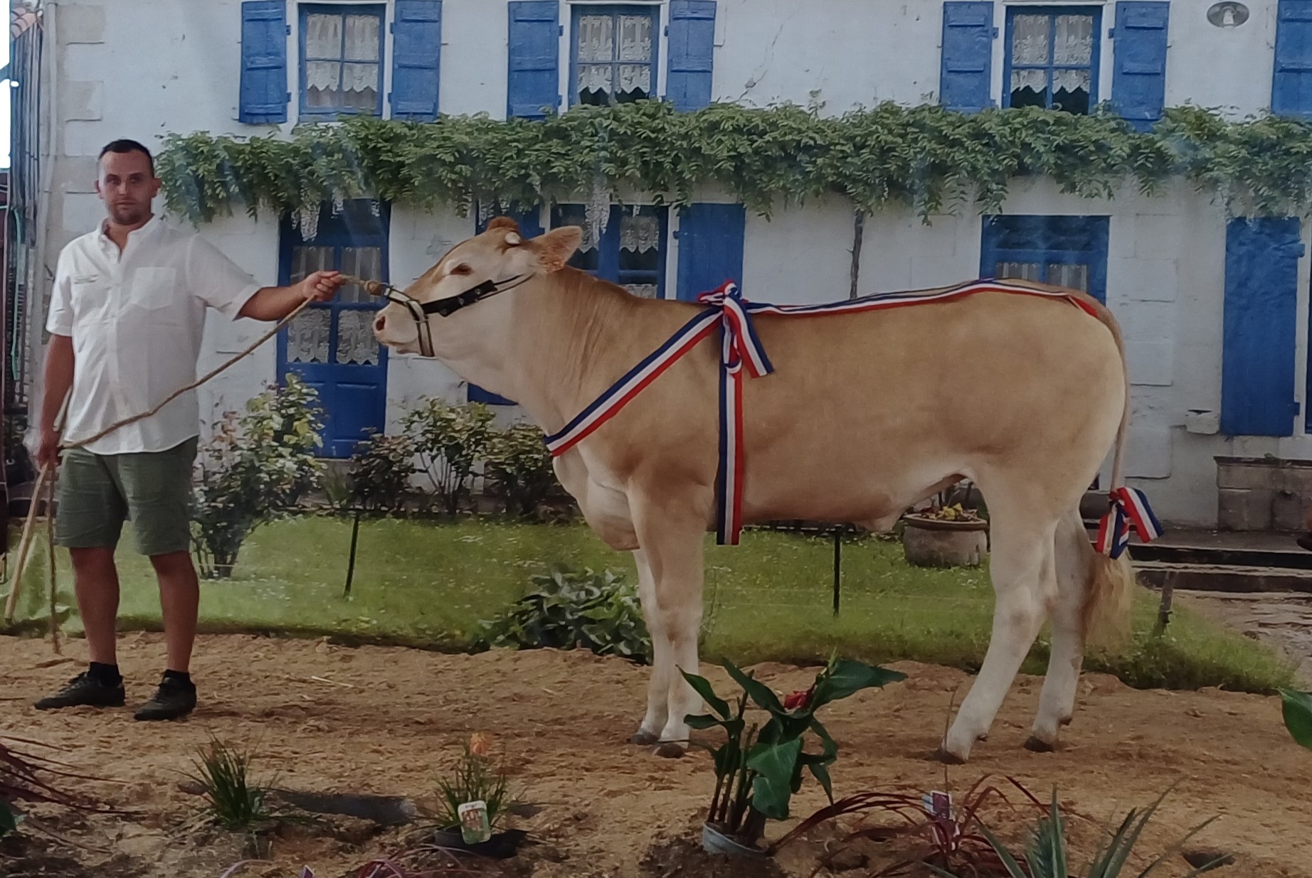 De kampioenen van Lezay