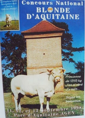 Agen 1998