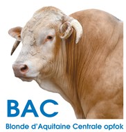 BAC STIER LOGO