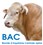BAC STIER LOGO