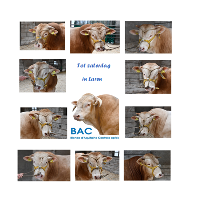 Tot zaterdag in Laren