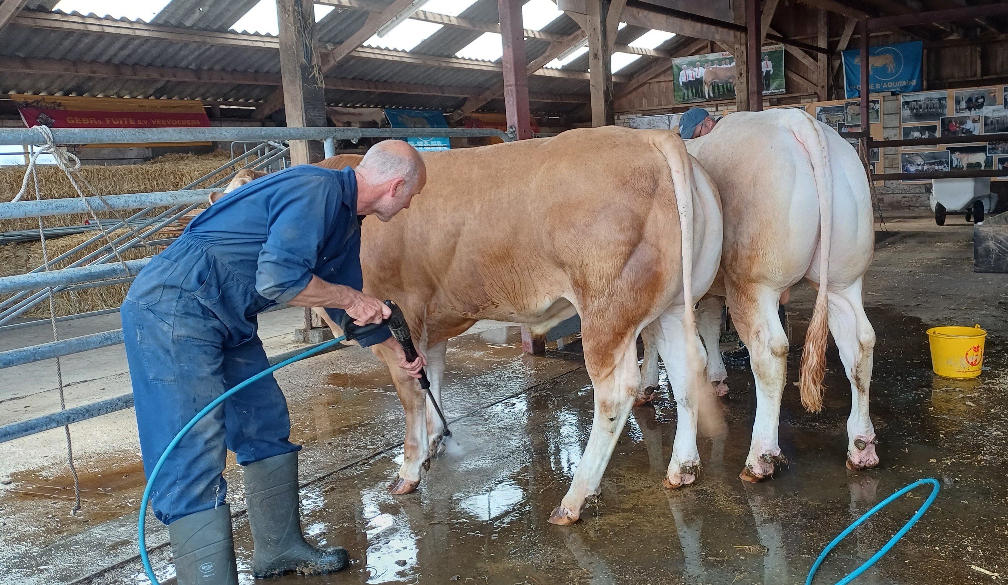 Bijna klaar voor morgen de BAC veiling