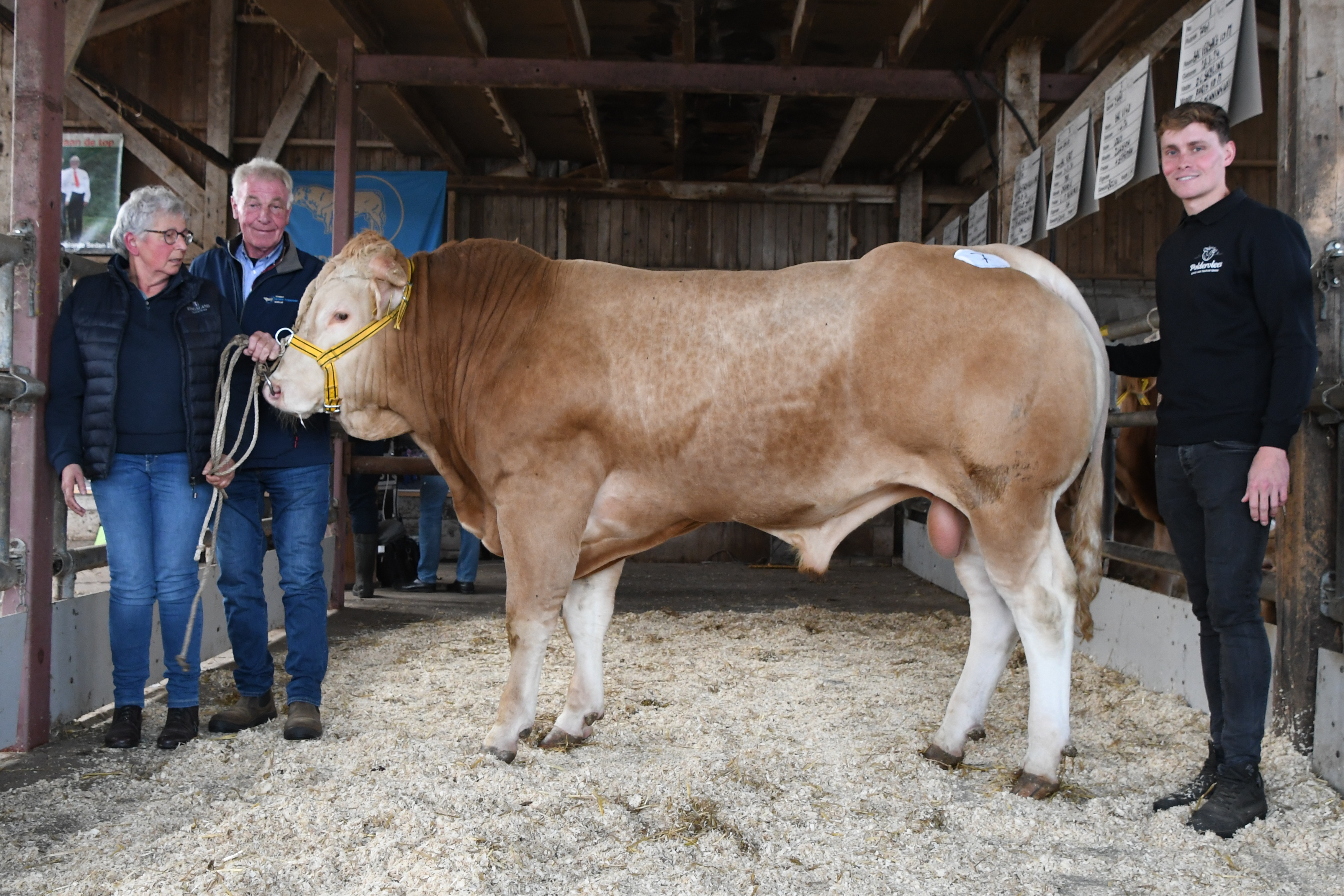 Sensationeel recordbedrag voor BAC Vert op de jubileumveiling in Laren