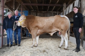 veilingtopper Bac Vert met koper Menno Roelofsen (r)  en zijn fokkers Marjan en Ed Neerincx.