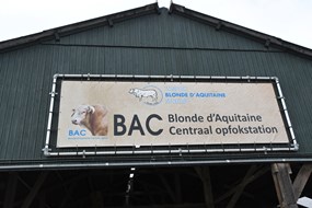 0 spandoek BAC opfokstal op de stal