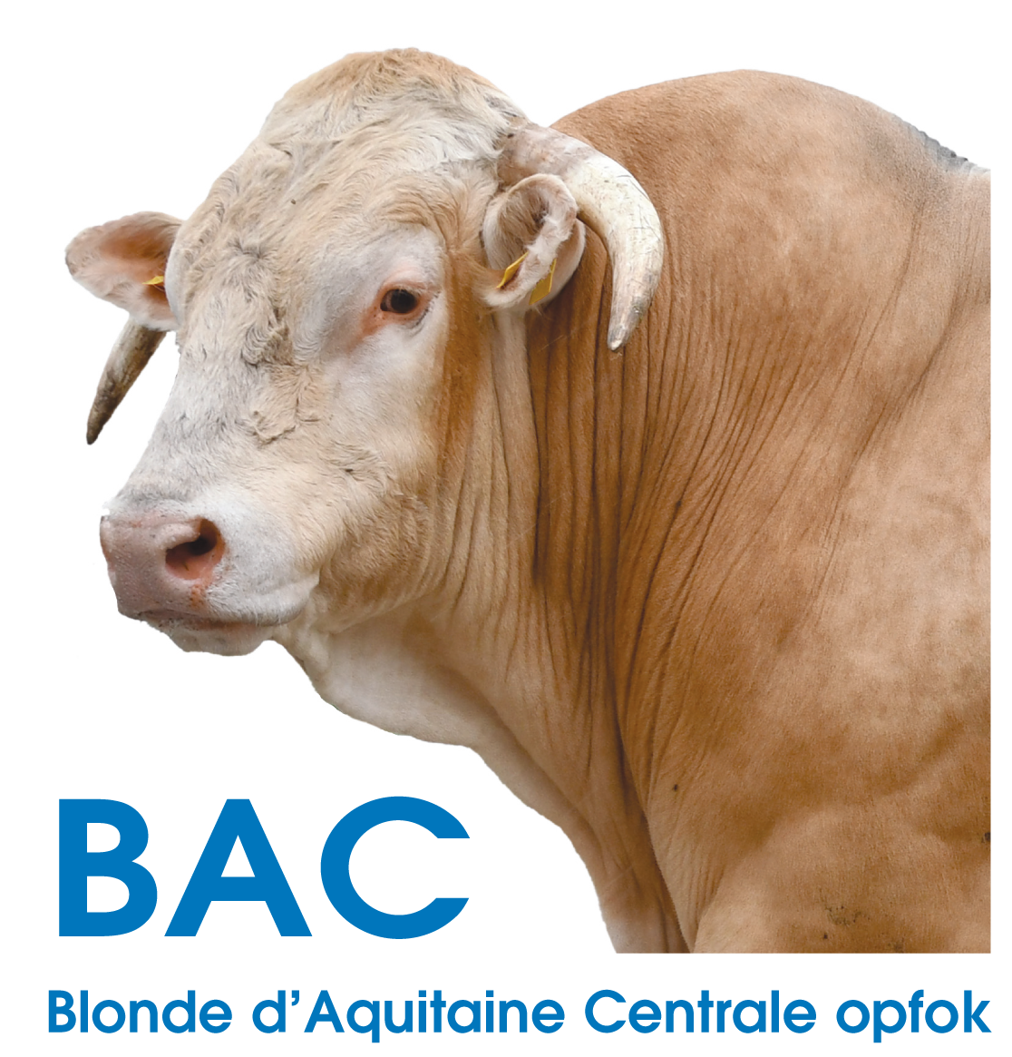 Nieuwe logés op BAC opfok- en teststation