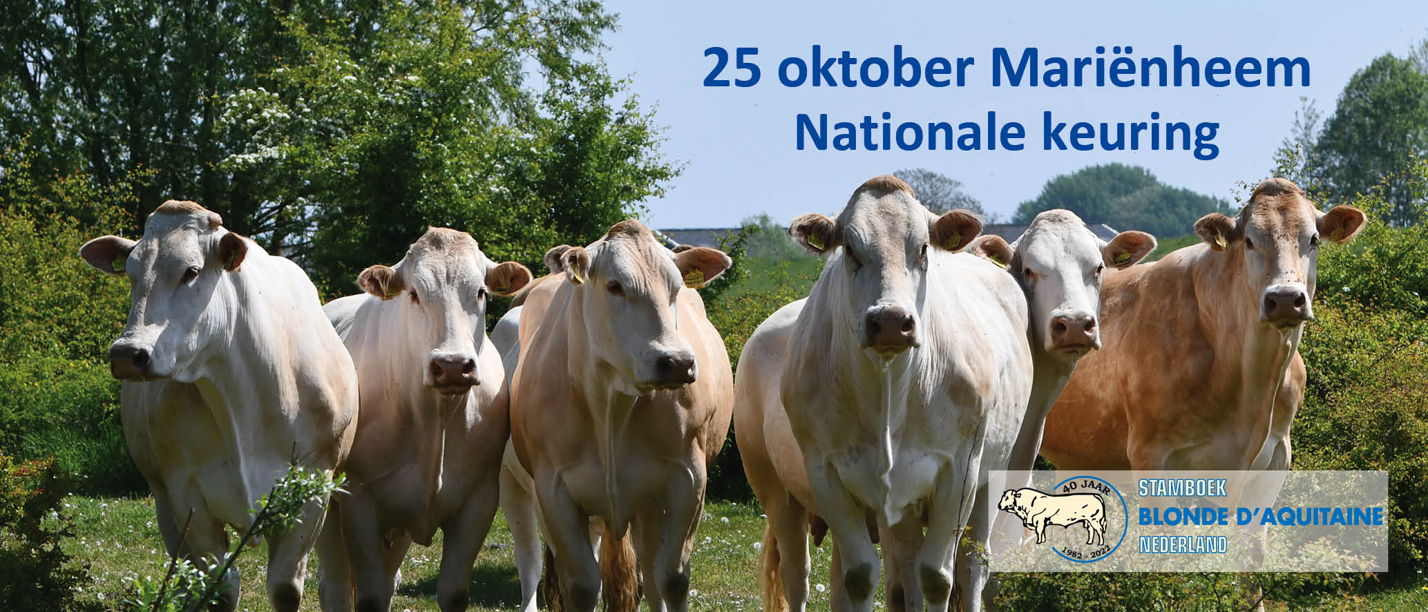 Programma 25 oktober op de NVM