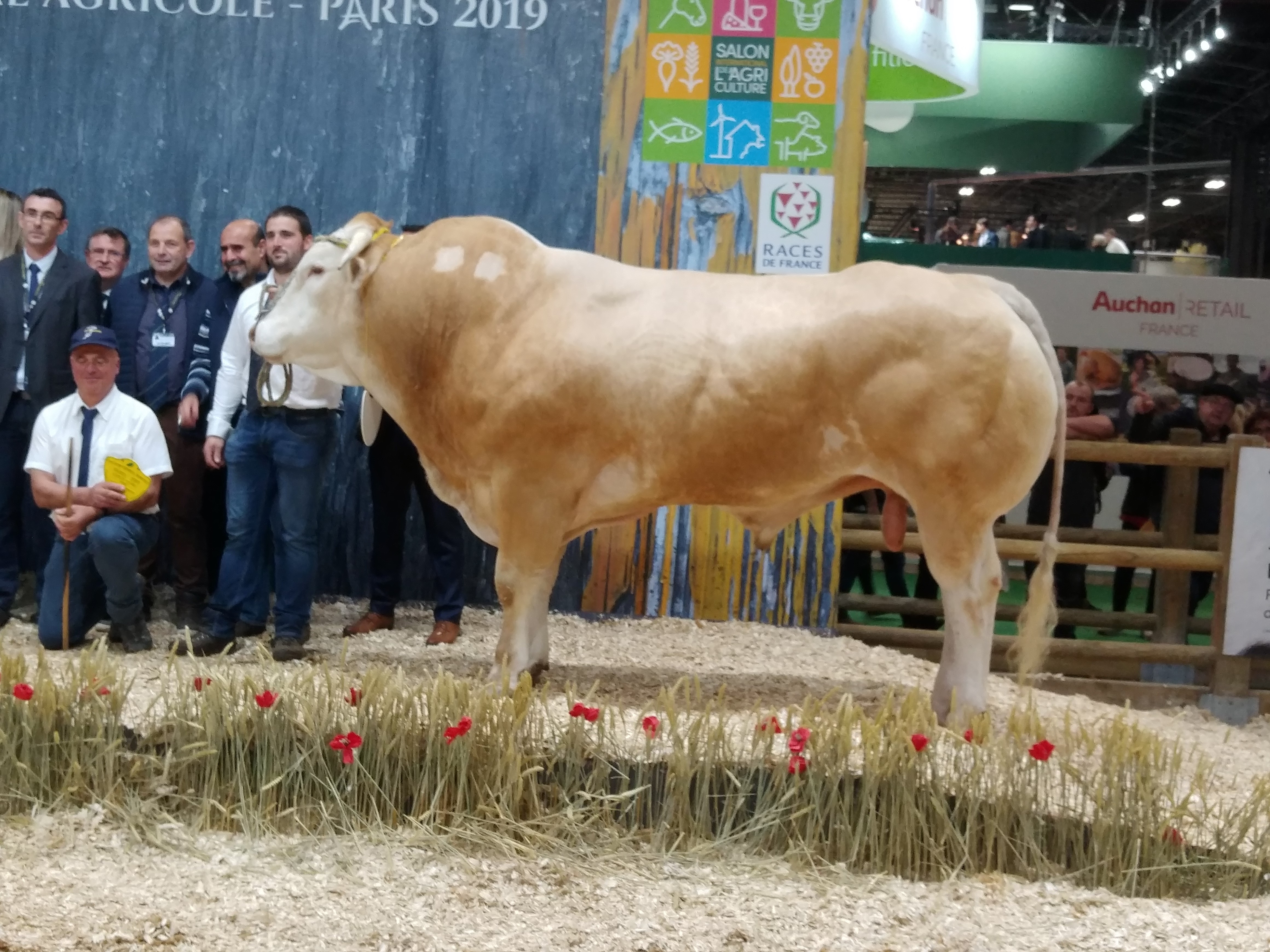 Louis topaanvoerder op de NVM