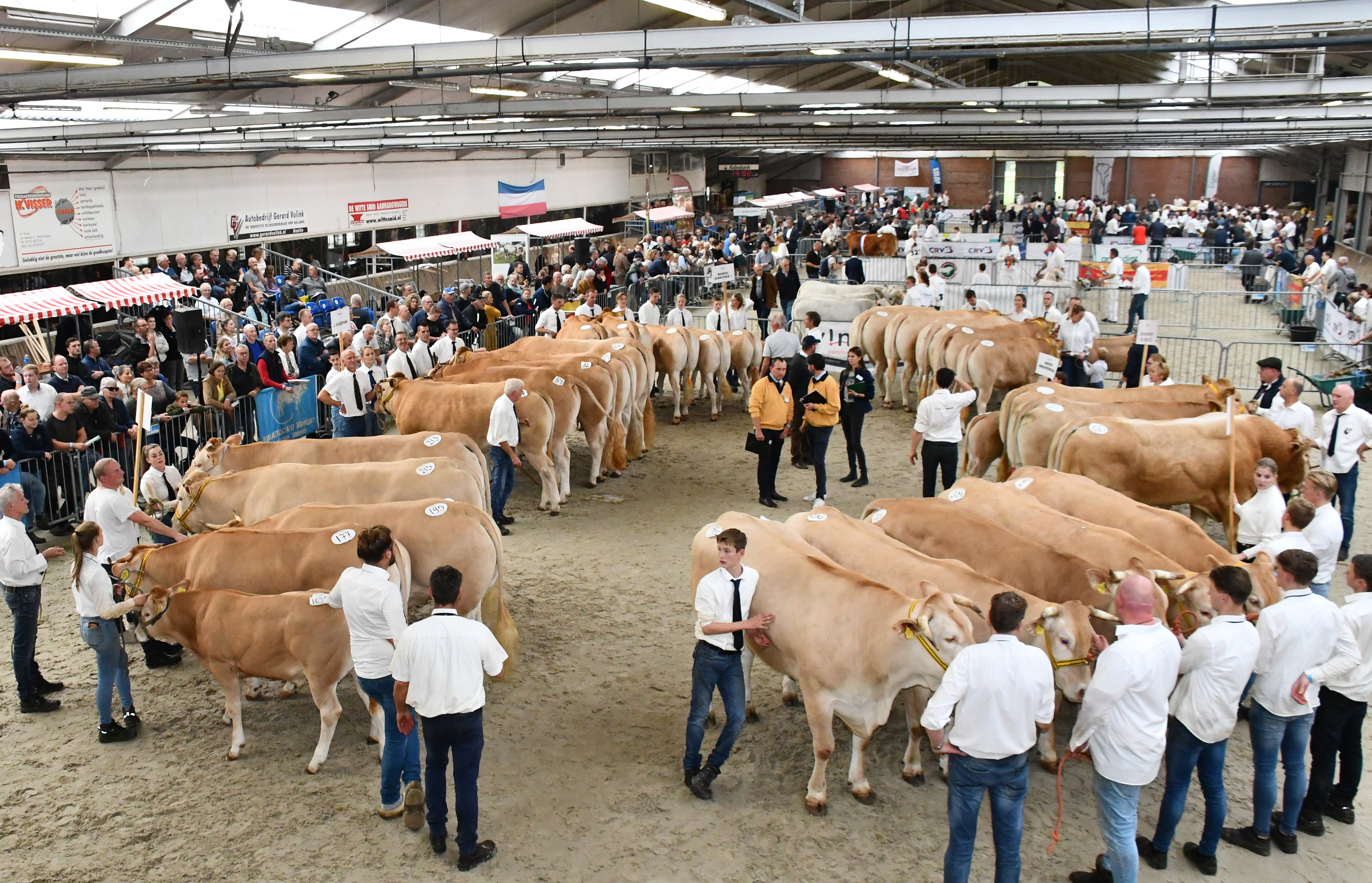 De mooiste Blondes op de NVM