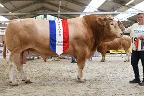 BAC Jacco du Moulin