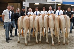 groep de Menningweer groep de Menningweer