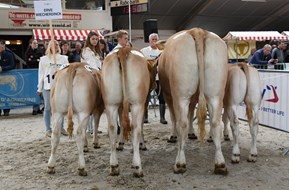 groep Erve Wiecherdinck groep Erve Wiecherdinck